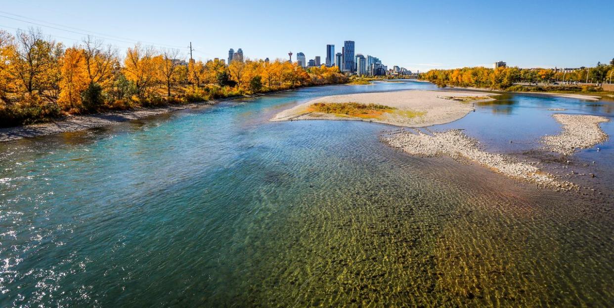 The Bow River flows through the downtown Calgary in this file photo. Alberta is poised to start negotiations with major water licence holders to strike sharing agreements in three key provincial river basins, including the Bow.  (Jeff McIntosh/The Canadian Press - image credit)
