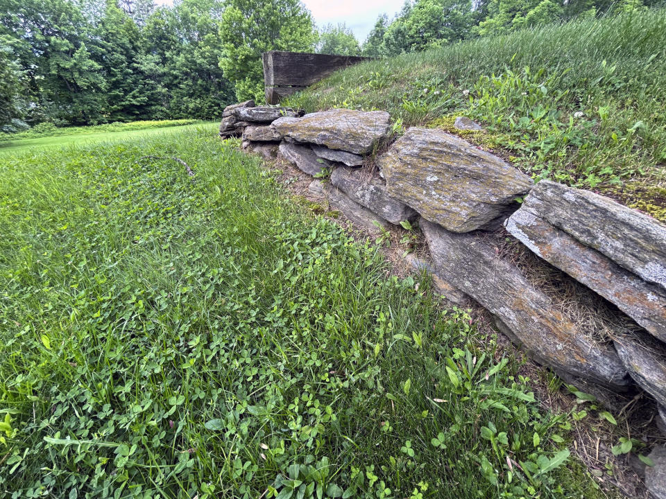 A lawn with a mix of grass and other groundcovers appears at a property in Waitsfield, Vt. on Tuesday, June 11, 2024. If your lawn is large, consider replacing part of it with flower beds and borders, or a groundcover like clover. (AP Photo/Carolyn Lessard)