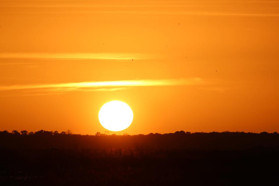 This photo, taken off U.S. 441 in 2021, shows a sunset view over Paynes Prairie in Gainesville.