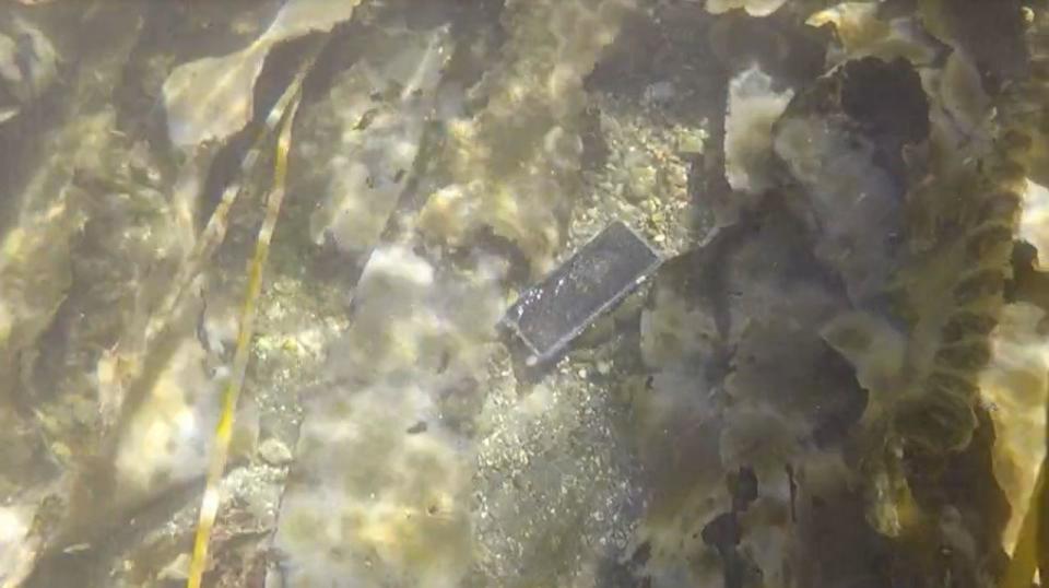 Incredibly, after a little over an hour, one of the divers spotted Kassanndra's cellphone with its sparkly case. / Credit: Pierce County Sheriff's Department