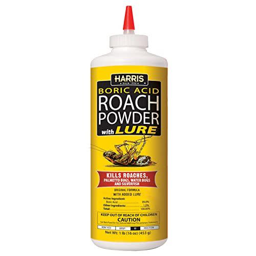 3) Boric Acid Roach Powder