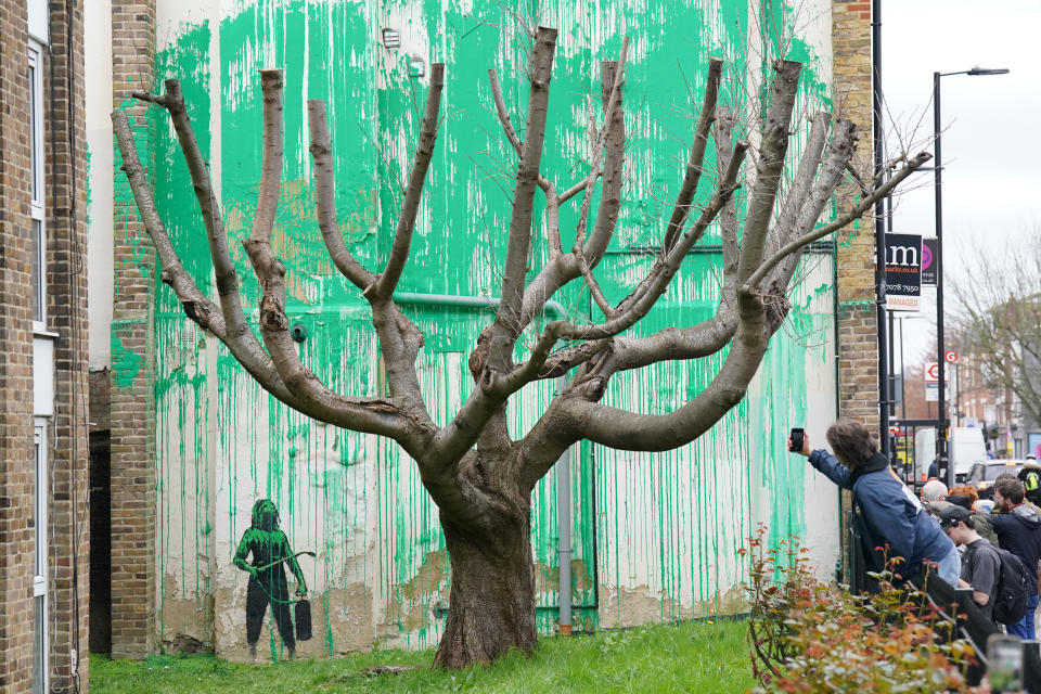 People view a tree mural which appeared overnight on a residential building on Hornsey Road in Finsbury Park, London, which has been confirmed by the anonymous street artist, Banksy, as one of his own in an Instagram post on Monday. Picture date: Monday March 18, 2024. (Photo by Jonathan Brady/PA Images via Getty Images)