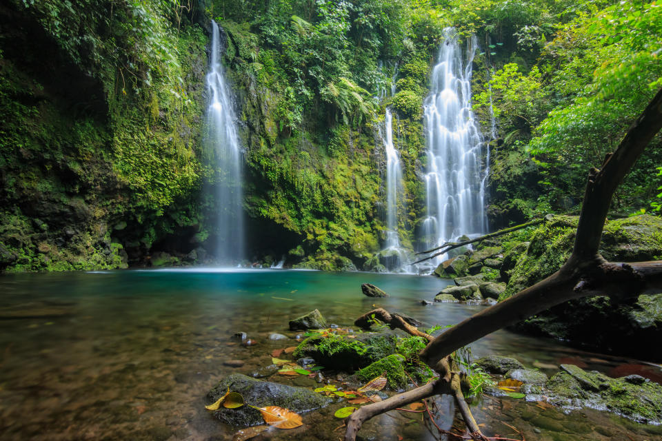 Waterfalls surrounded by lush greenery