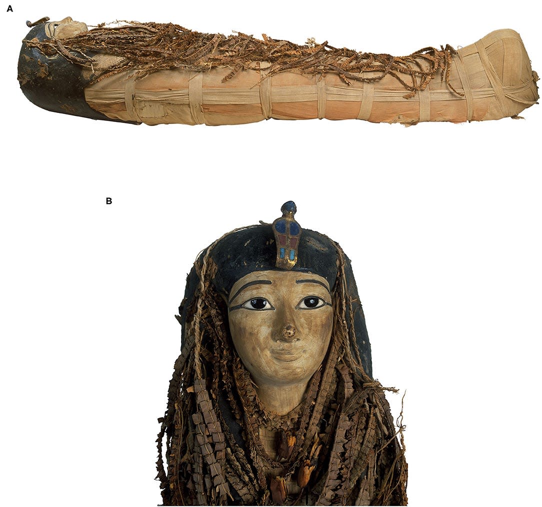 The mummy of Amenhotep I has a face mask with eyes inlaid with black pupils made of obsidian crystals. On the forehead is a separately carved painted cobra of painted wood, inlaid stones, and cartonnage. The rest of the head mask is partly hidden by floral garlands.