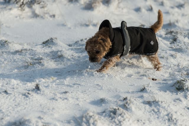 BRITAIN-WEATHER-SNOW