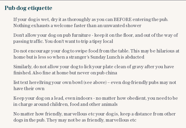 Pub dog etiquette