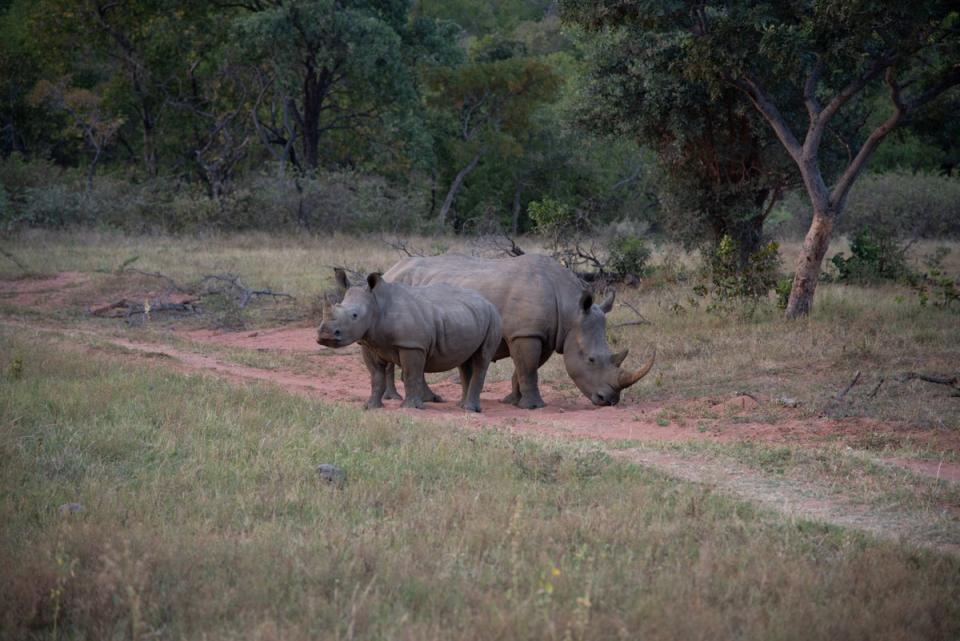 Conservation is at heart of the reserve (Radhika Aligh)