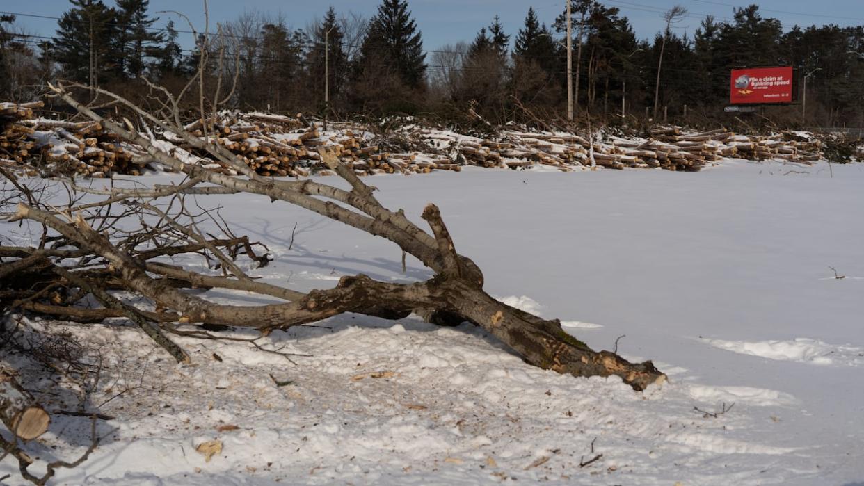 The Ottawa International Airport authority cleared thousands of trees from a property on Hunt Club Road, which it leases from Transport Canada. A spokesperson called the land important for 