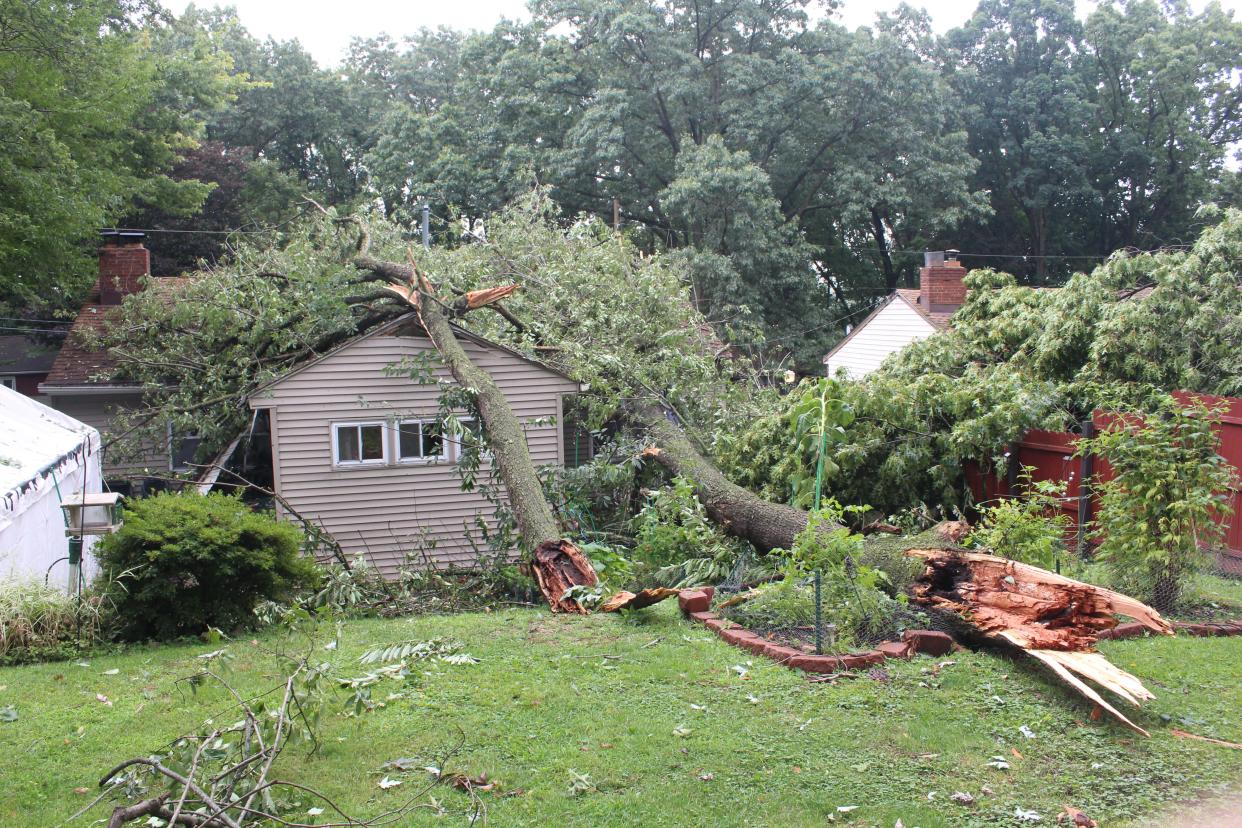 The home of Michelle Hildreth, 60 of Akron, after Thursday night's severe storms felled a tree on her home along Goodview Avenue.