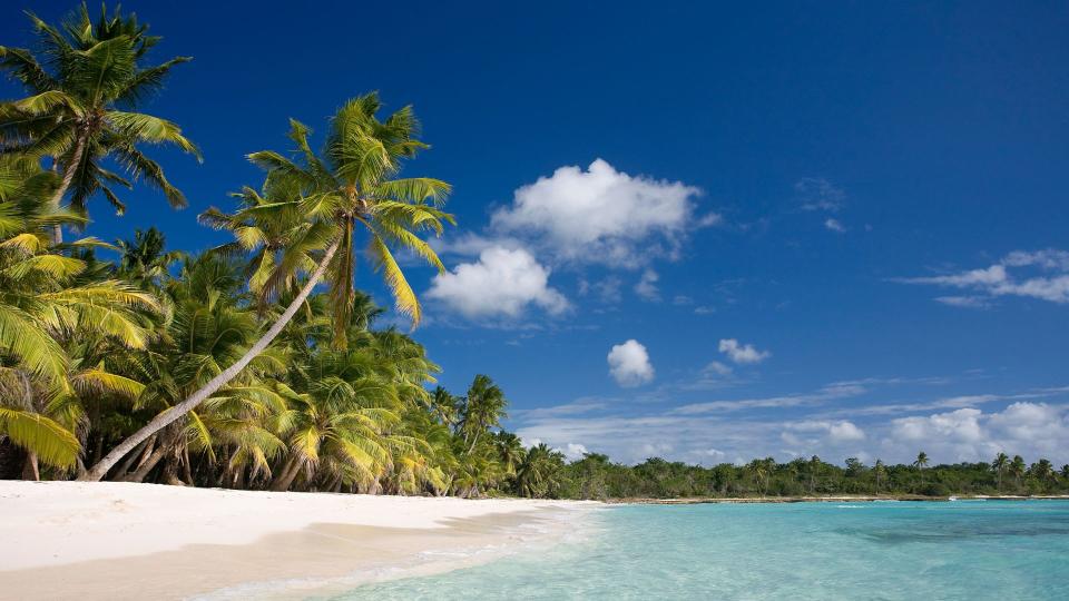 A picture of a beach on Saona Island, Dominican Republic