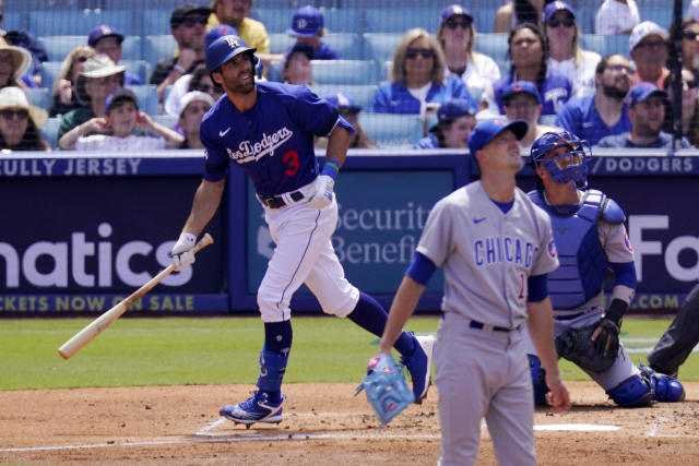 Goodbye baseball: Cubs open series vs. Dodgers with 5-3 loss - Chicago  Sun-Times