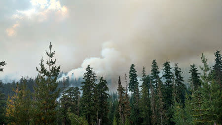 Wildfire burns in Willamette National Forest, Oregon, U.S. made available on August 11, 2017. Courtesy U.S. Forest Service Willamette National Forest/Handout via REUTERS