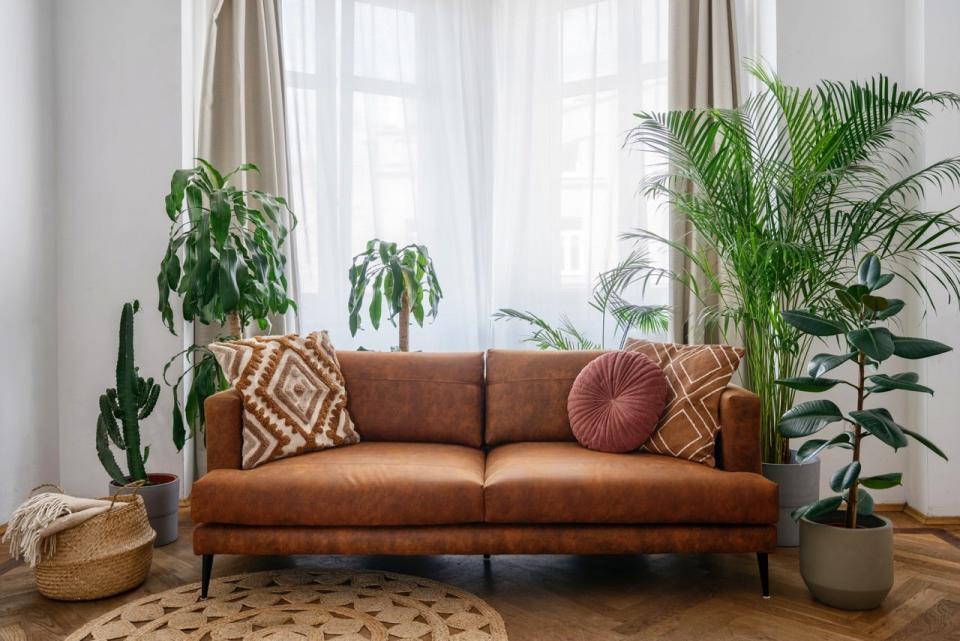 Brown leather couch with brown and rust pillows next to plants in front of a window