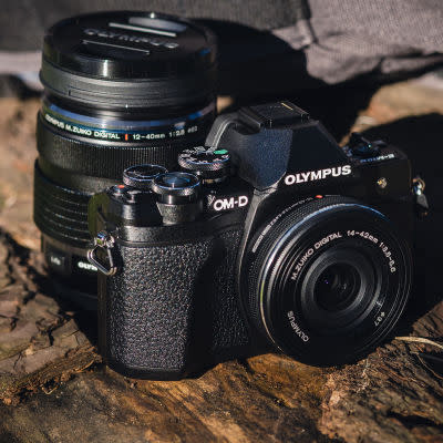 You can mark down 2019 as the year that mirrorless cameras vaulted to the topof photographers' wish lists