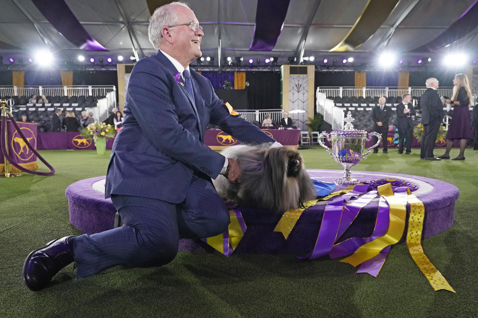 David Fitzpatrick, owner, breeder and handler, poses with Wasabi, a Pekingese, after the dog won Best in Show at the Westminster Kennel Club dog show, Sunday, June 13, 2021, in Tarrytown, N.Y. (AP Photo/Kathy Willens)
