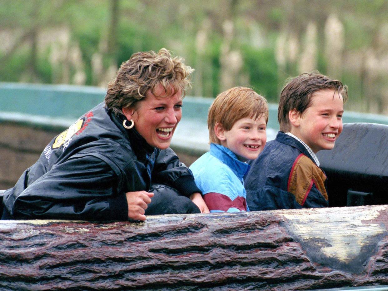 Princess Diana, Prince William, and Prince Harry in 1993