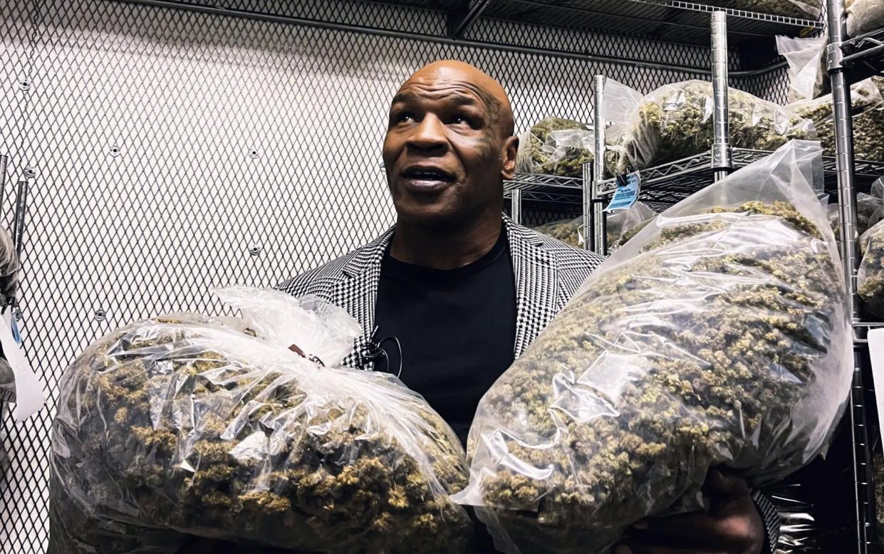Mike Tyson credits cannabis with helping him control his demons and find peace with himself
