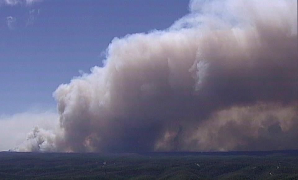 Huge plumes of smoke billow from trees on fire in Gospers Mountain, New South Wales, (AP)