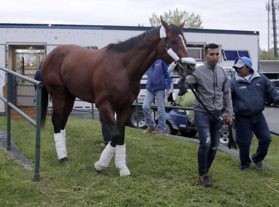 Maximum Security, the horse disqualified from the Kentucky Derby horse race, is led off a trailer by Edelberto Rivas upon the horse's arrival at Monmouth Park Racetrack, Tuesday, May 7, 2019, in Oceanport, N.J. The Kentucky Horse Racing Commission denied the appeal of Maximum Security's disqualification as Kentucky Derby winner for interference, saying the stewards' decision is not subject to appeal. Racing stewards disqualified Maximum Security to 17th place on Saturday and elevated Country House to first after an objection filed by two jockeys. Stewards determined he impeded the paths of several horses in the race. Owner Gary West confirmed that Maximum Security won't run in the upcoming Preakness, saying there's no need without a chance to compete for the Triple Crown. (AP Photo/Julio Cortez)