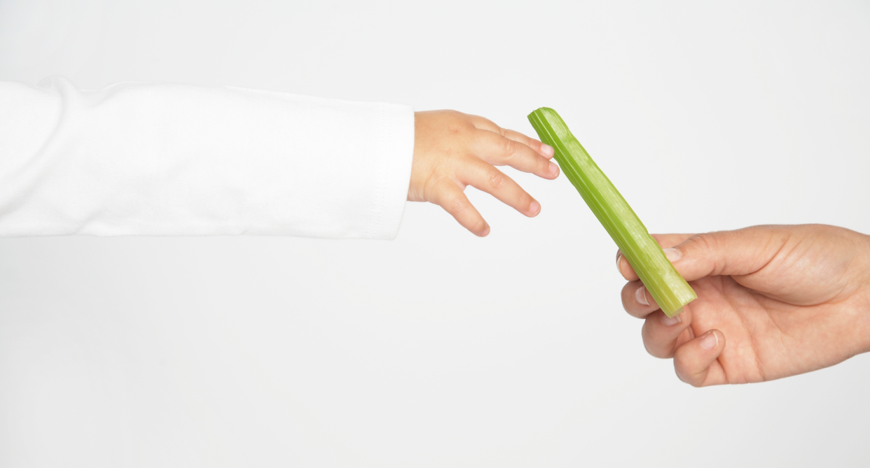 hand holding celery stalk giving to baby, margarita burn