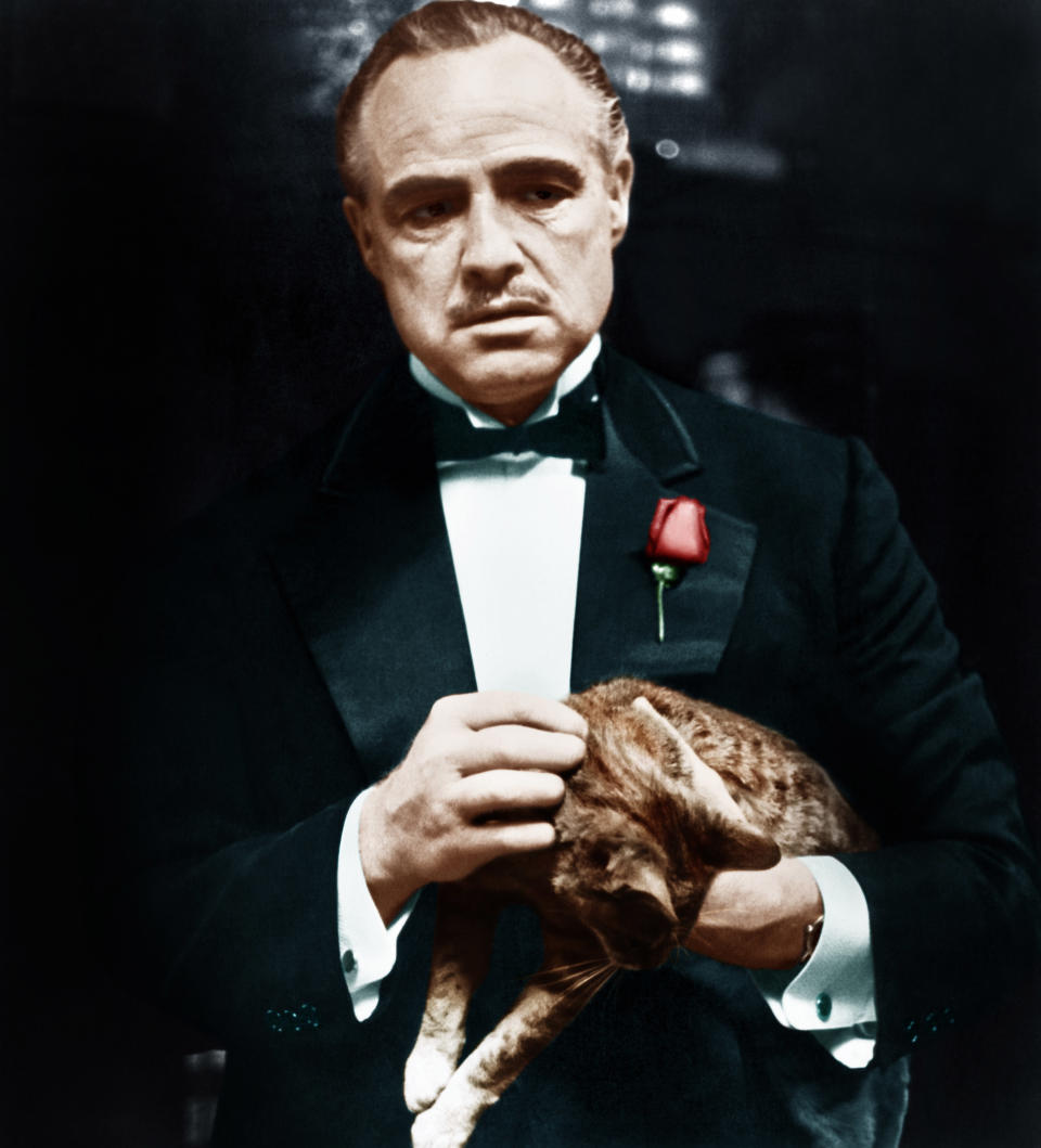 Marlon Brando as Vito Corleone in a tux with a rose, holding a cat, from 'The Godfather'