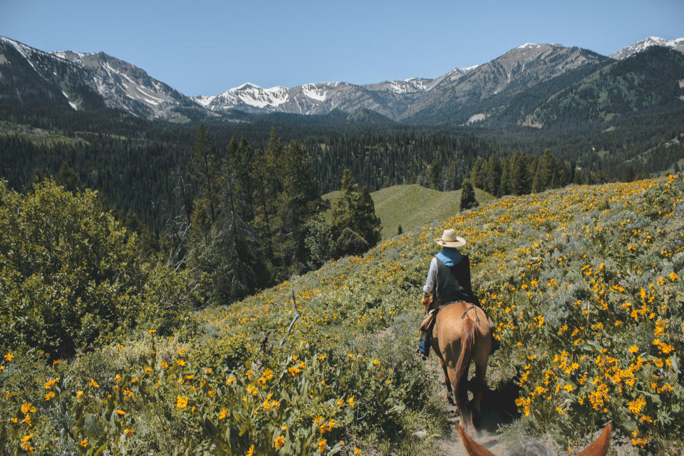 Person riding a horse in a mountainous area with wildflowers