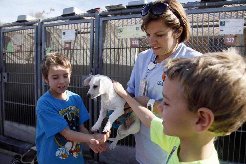 Erika Bennett, a kennel attendant/animal control officer at OC Animal Care, holds up a puppy for brothers Ryan Wartenberg, left, and Jason Wartenberg, as they look into adopting a pet at the shelter in Orange Calif., on Tuesday, Dec. 17, 2013. Some shelters around the country are ramping up for Christmas Day deliveries of new family pets, a move applauded by the American Society for the Prevention of Cruelty to Animals, whose new study supports seasonal adoptions. But some shelter leaders maintain that adoptions are better left for after the holiday rush. The Society for the Prevention of Cruelty to Animals Los Angeles, which is not affiliated with the national organization, still discourages pets as presents. (AP Photo/Nick Ut)