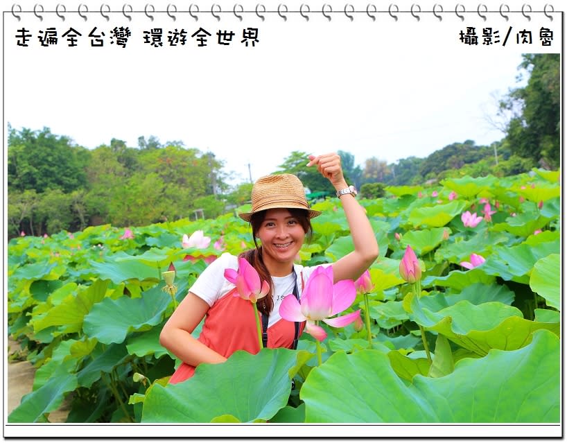 白河蓮花公園