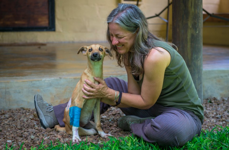 Poppy was cared for once she came across a remote camp in Botswana (Amanda Stronza/GoFundMe)