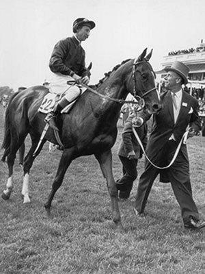 <p>Sea-Bird (1962–1973) was a French Thoroughbred racehorse and sire. In a career which lasted from 1964 until October 1965 he ran eight times and won seven races. Sea Bird is most famous for his victories in two of Europe's most prestigious races: the Epsom Derby and the Prix de l'Arc de Triomphe.</p>