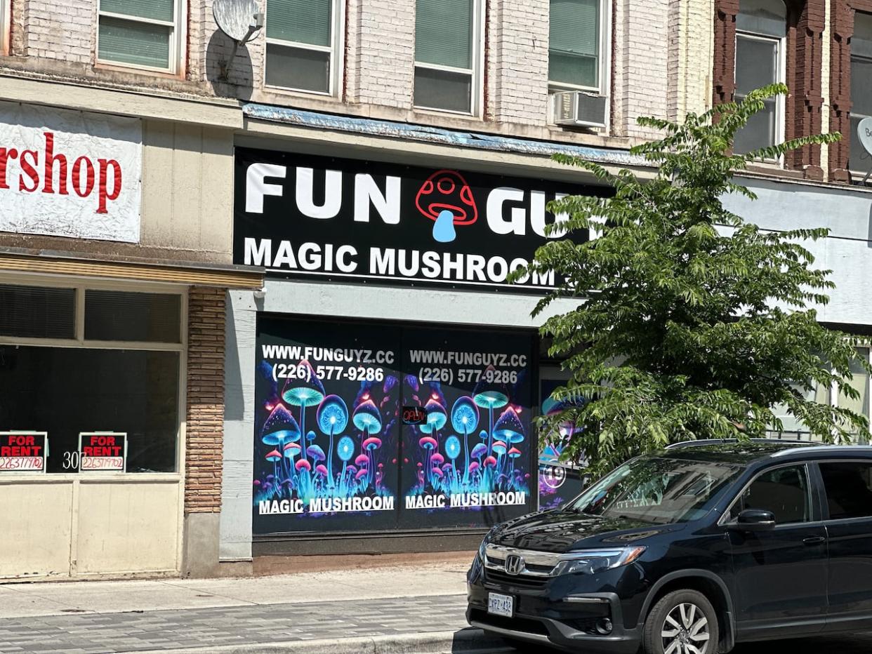 The latest FunGuyz location is at 309 Talbot St., in St. Thomas. (Alessio Donnini/CBC News - image credit)