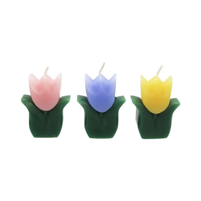 Place & Time Spring Tulip Unscented Tealight Candles