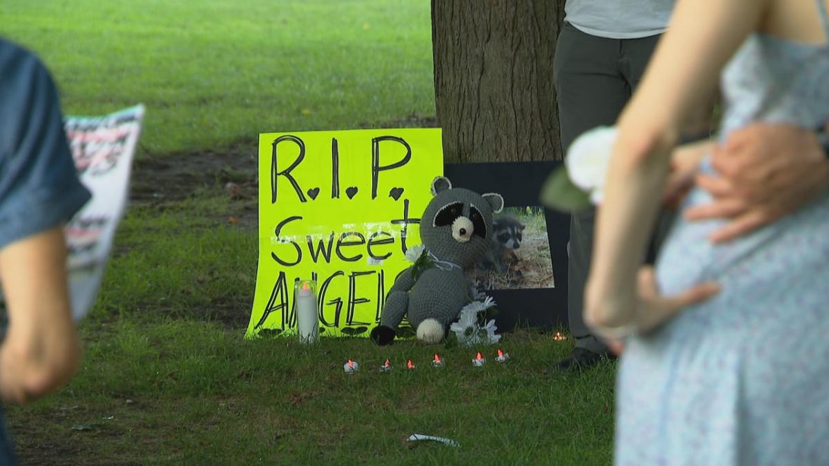 Vigil held in Riverdale for animals allegedly killed by teen