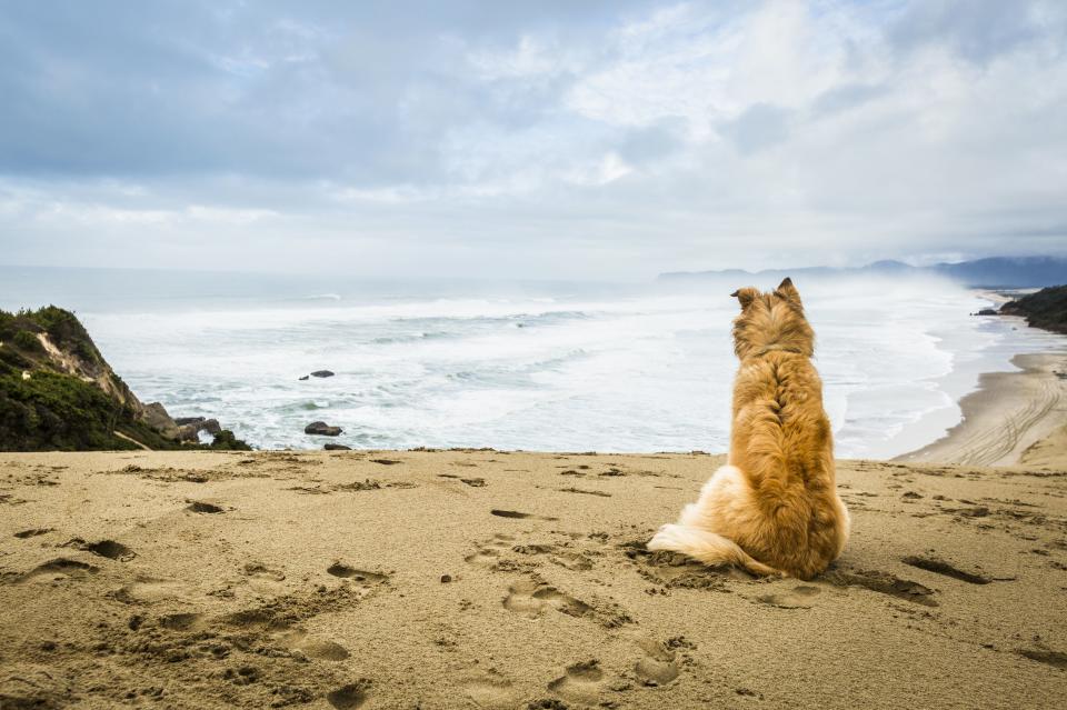 Neskowin, Oregon