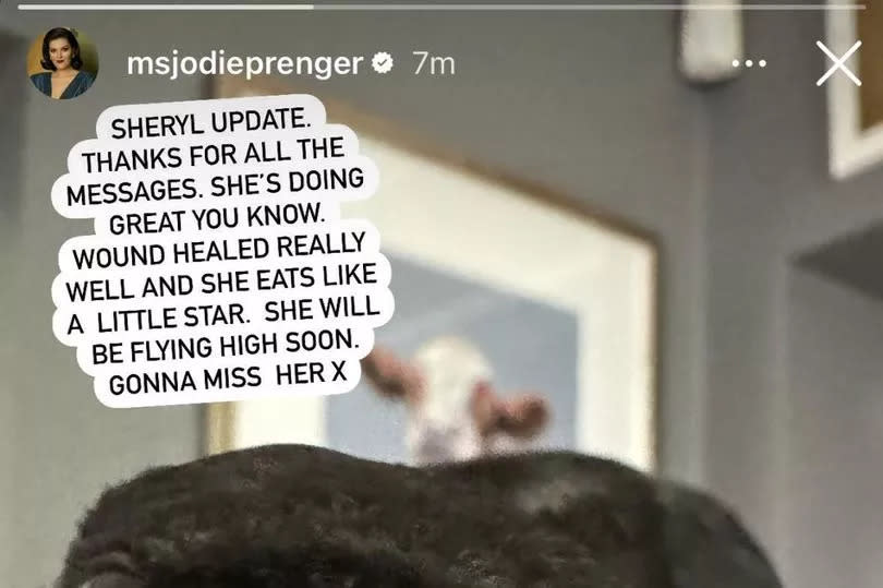 Jodie shared an update on her rescue crow, Sheryl -Credit:Jodie Prenger Instagram