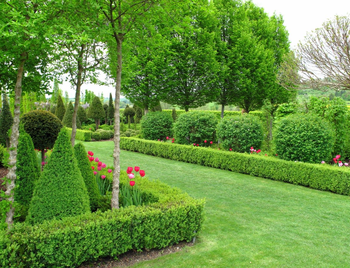 Wonderful garden in springtime