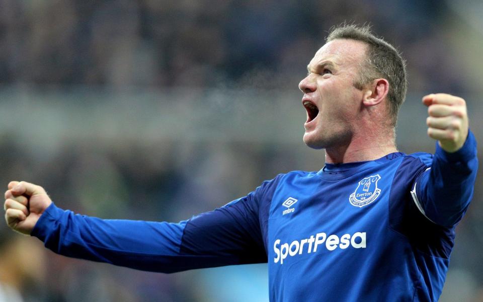 Wayne Rooney celebrtaes after scoring the only goal of the game at St James' Park - PA