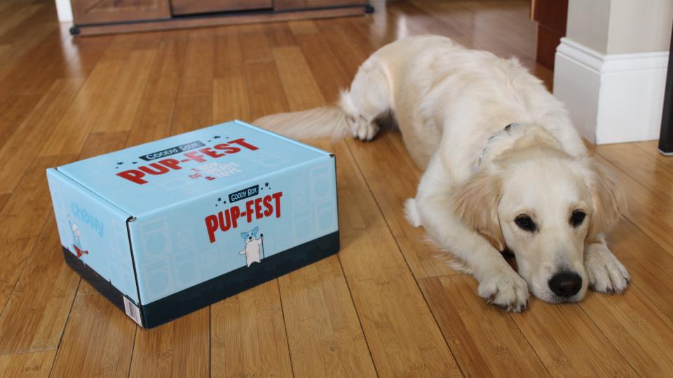 Addy gave two paws up to Chewy's Goody Box.