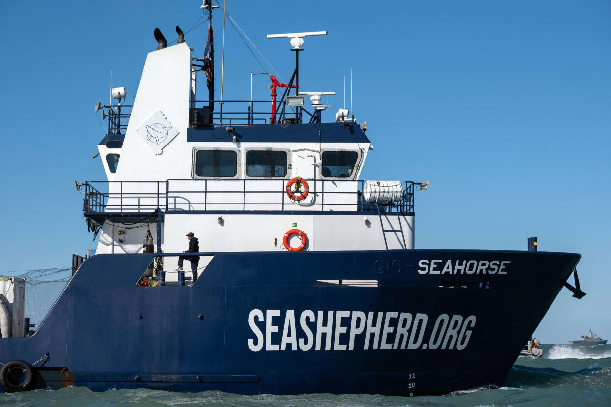 The Seahorse, the new Sea Shepherd vessel deployed to help on the efforts to save the endangered vaquita porpoise, navigates near San Felipe, in the Gulf of California, Baja California state, northwestern, Mexico, on January 24, 2023. - Mexico's navy and the environmental organization Sea Shepherd are working together on the so called Operation Milagro, Miracle Operation, to prevent the vaquita porpoise disappearing forever. The species is critically endangered, due to illegal gillnets used to catch totoaba, a large fish whose swim bladder can fetch thousands of dollars in China thanks to its supposed medicinal properties. (Photo by Guillermo Arias / AFP)