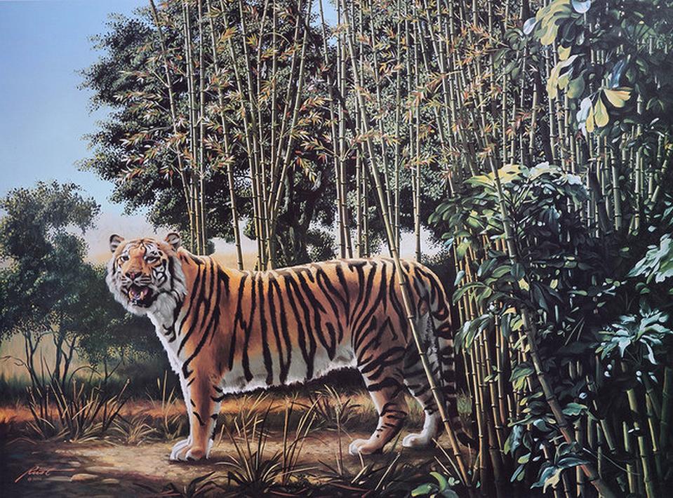 The hidden tiger optical illusion