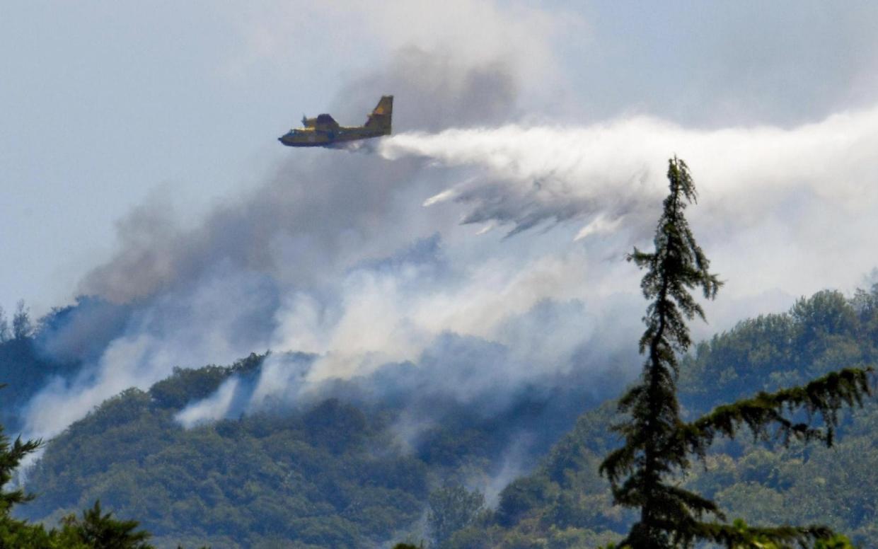 A Canadair firefighting aircraft dumps water on a forest fire in Italy - ANSA