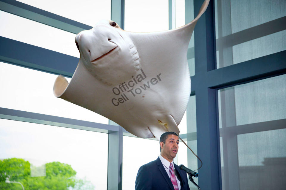 Eric Thayer/Getty Images (Ajit Pai); Brad Thompson/Getty (Stringray)