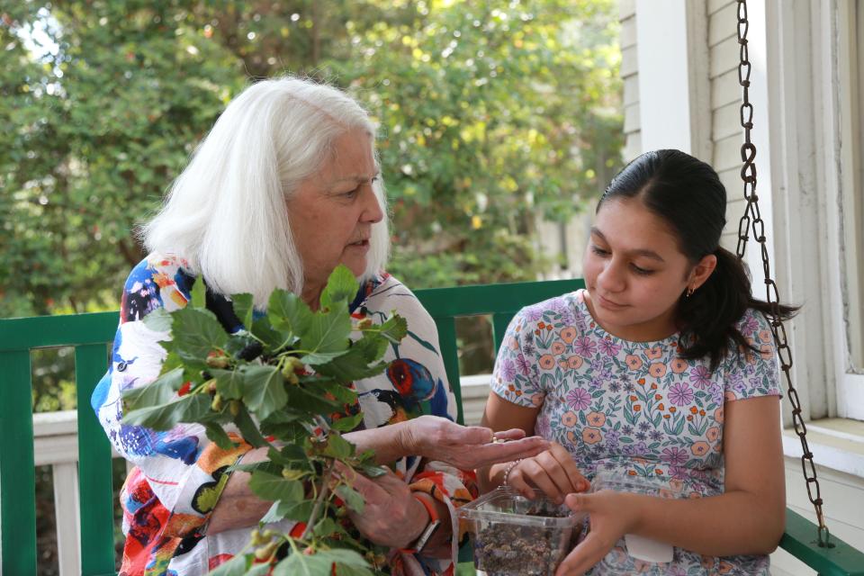 Dried mulberries are a popular treat in Afghanistan, so retired teacher Sissy Hoffman talks with Farahnaz about the mulberry tree and Georgia history.