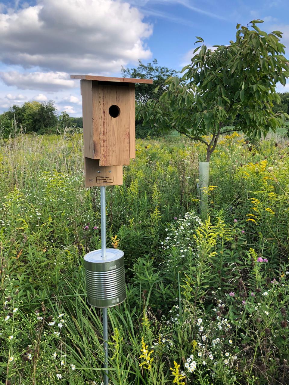 A complete Bluebird Nesting Box installed at The Land Lab at Granville Intermediate School. The box was made by Granville High School junior Edi Fisher as part of her Eagle Scout project.