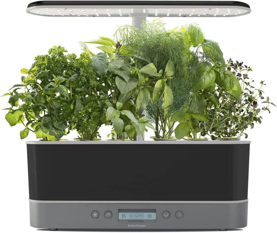 Indoor herb garden appliance with various lush green herbs growing under a light