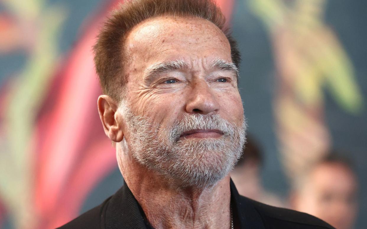 Über sein Gefühlsleben denkt Arnold Schwarzenegger nicht nach. Sein Credo: Wer hart arbeitet, wird automatisch glücklich. (Bild: Mario Tama / Getty Images)