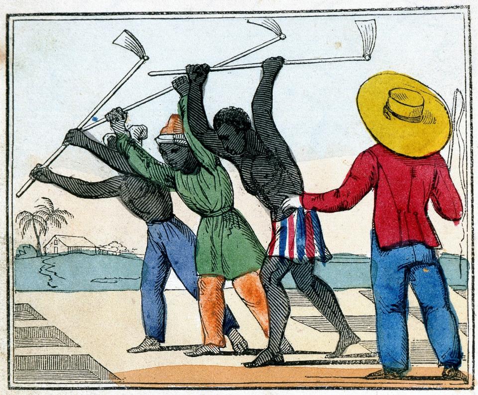 An 1826 print showing black slaves working on a Caribbean sugar plantation - Hulton