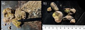 Yellow-green Carnotite (Uranium Vanadate) developed in sandy matrix (a) and as coatings on conglomerate pebbles (b). Examples are from the Pescado Prospect area (sample 22441 from 3433400E 5133085N and sample 22443 from 3433600E 5133200N respectively).