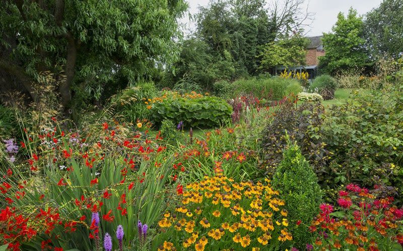 Yew Tree Farm won the Daily Mail National competition in 2019 and were Gardener’s World Magazine finalists in 2018 - National Garden Scheme