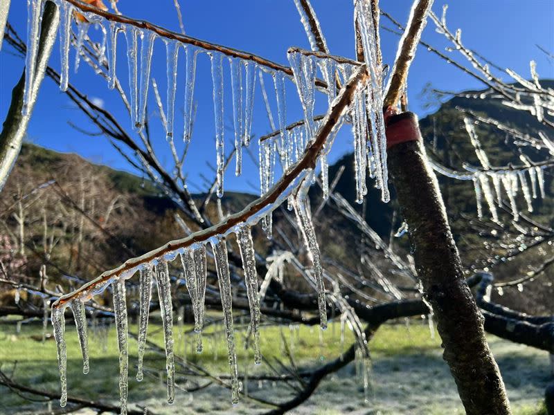 武陵農場今多處出現結冰現象。（圖／翻攝自武陵農場粉絲專頁）